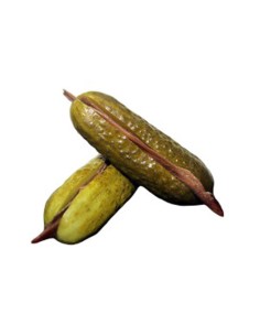 SALAZONERA/CUBO PEPINO RELLENO ANCHOA 49 UND C/2