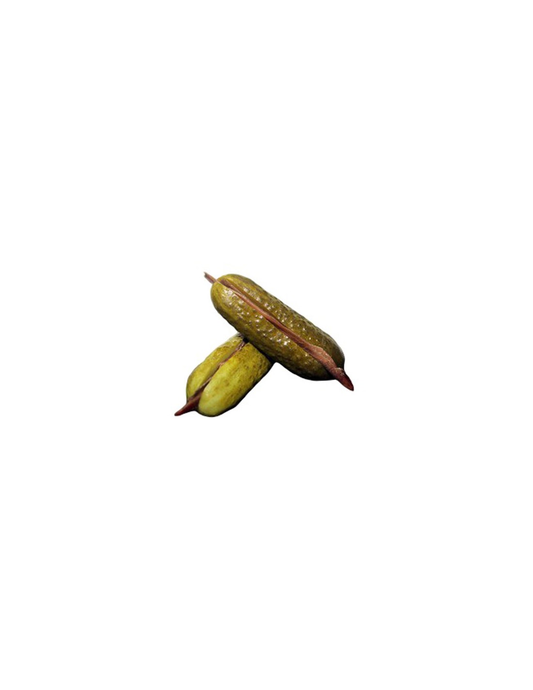 SALAZONERA/CUBO PEPINO RELLENO ANCHOA 49 UND C/2
