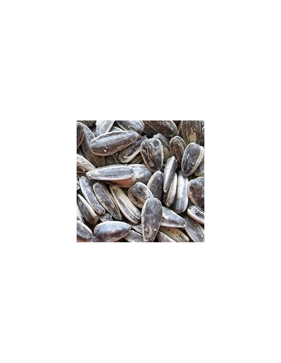 B./PIPAS GIRASOL SAL 3 KGS. S.S.